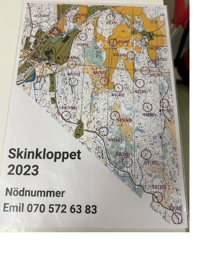 image: Skinkloppet 2023